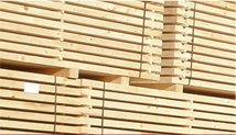 Sawn Timber